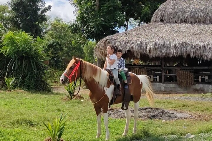 Horseback Riding tour near Santo Domingo with pick up and dropoff - Photo 1 of 5